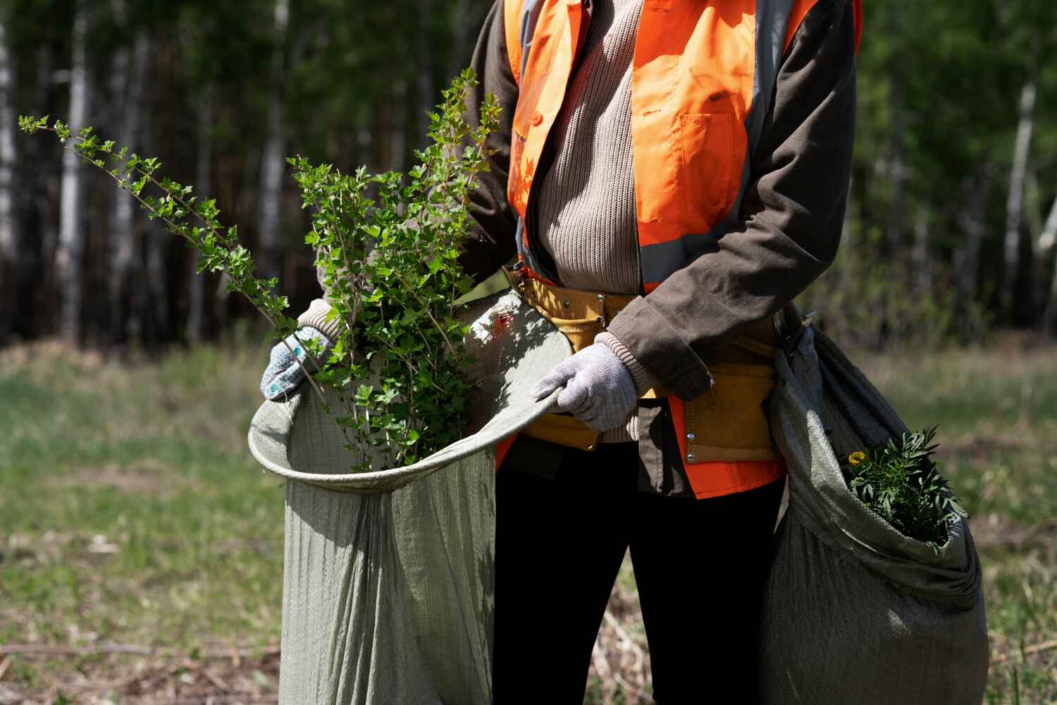 Manti, UT Tree Service Company